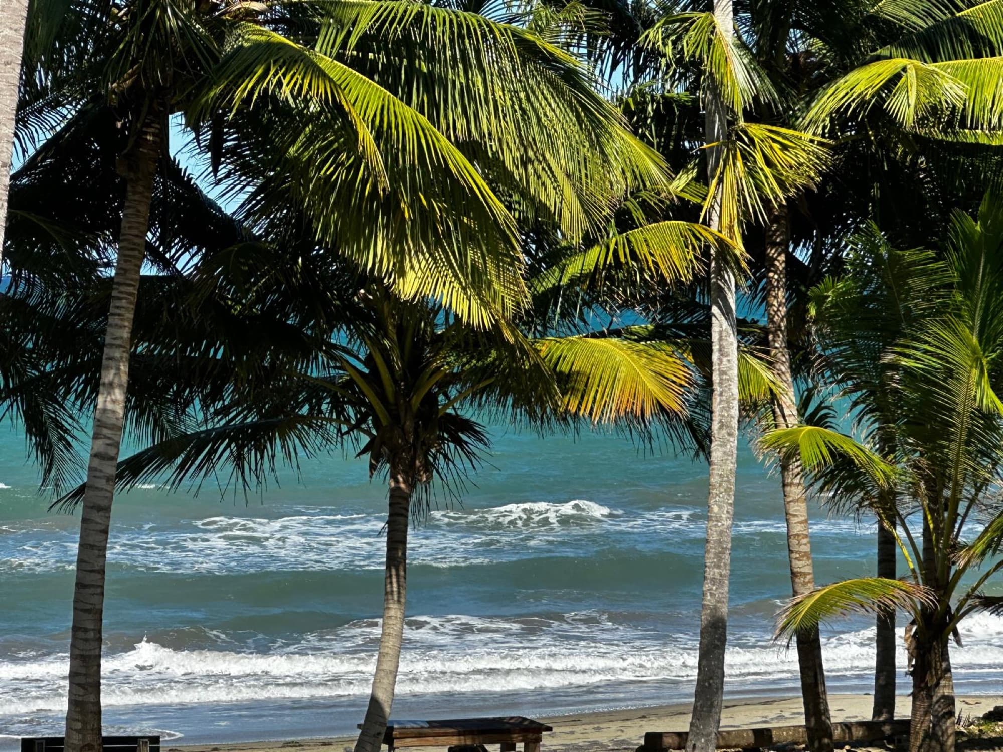 The view from the site: the beach and the water, a few steps from the villa.